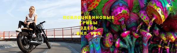 герыч Богородицк