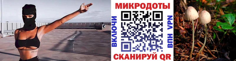 где купить   Бузулук  Псилоцибиновые грибы Magic Shrooms 