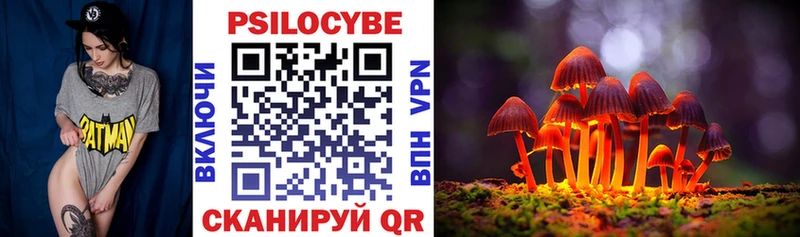 Псилоцибиновые грибы прущие грибы Бузулук