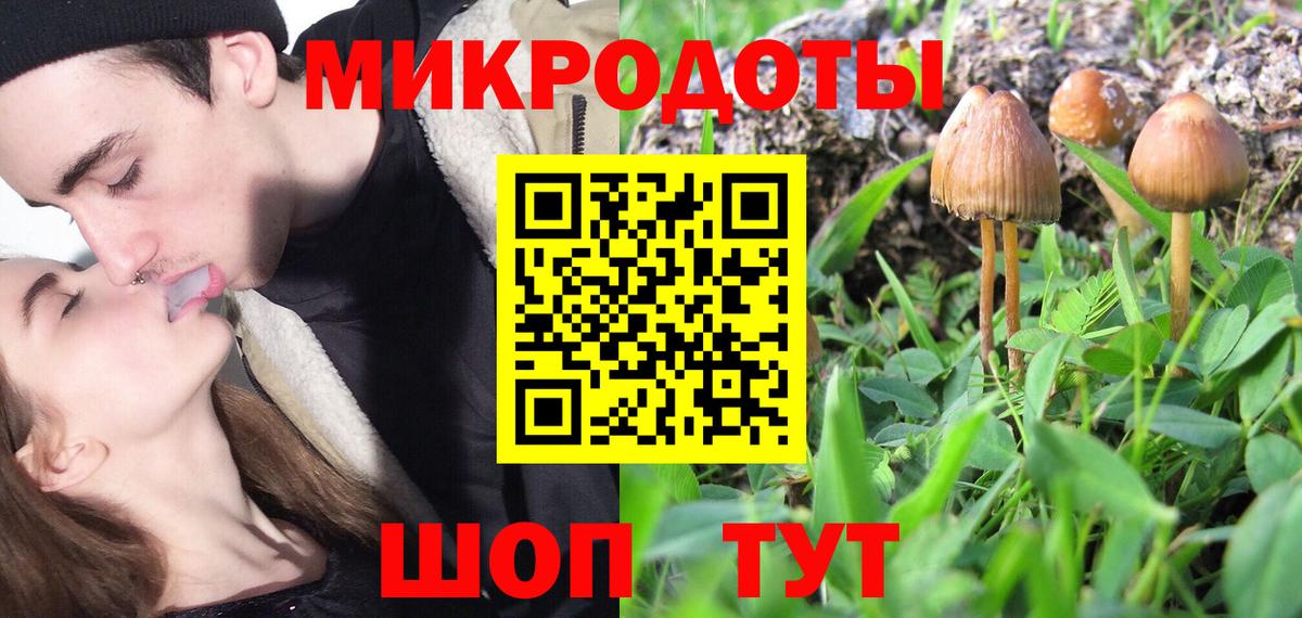 Галлюциногенные грибы GOLDEN TEACHER Бузулук