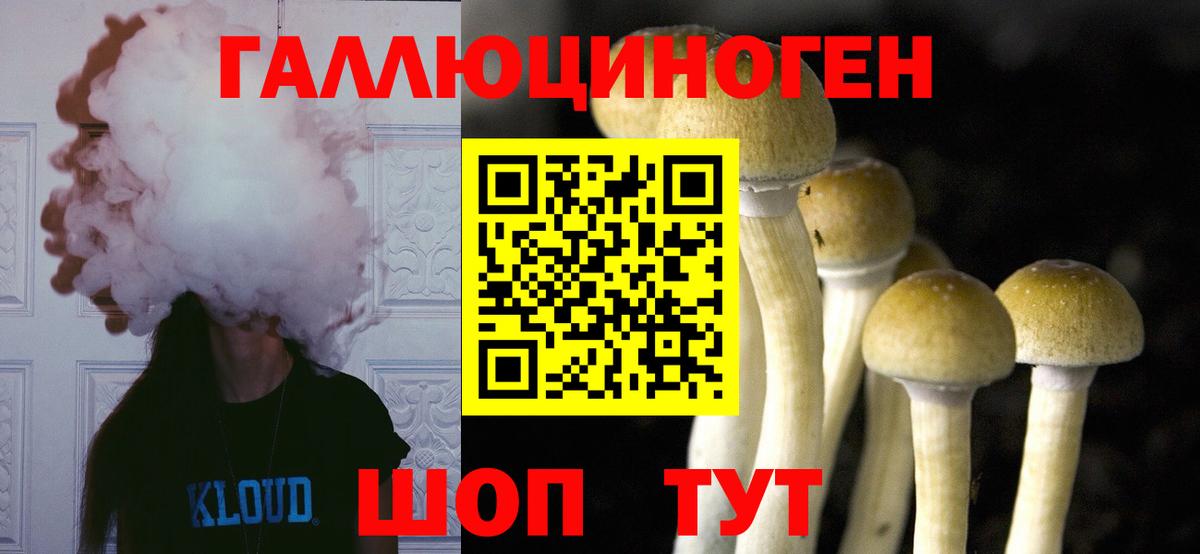 Псилоцибиновые грибы Psilocybe Бузулук